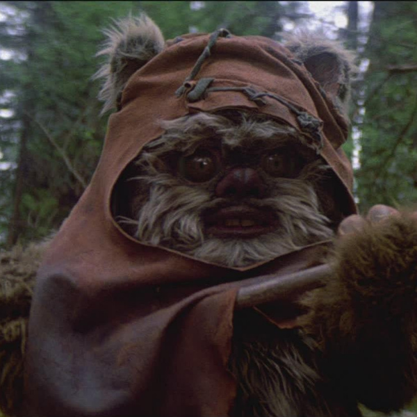 Ewok