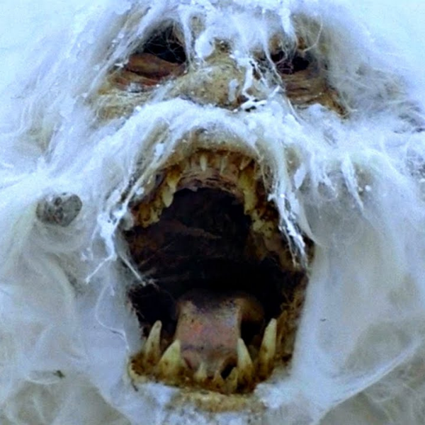 Wampa