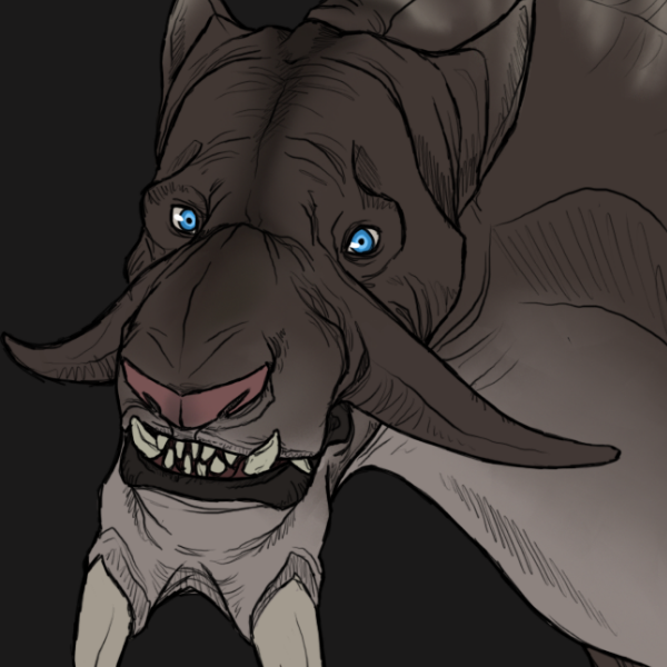Tusk Cat